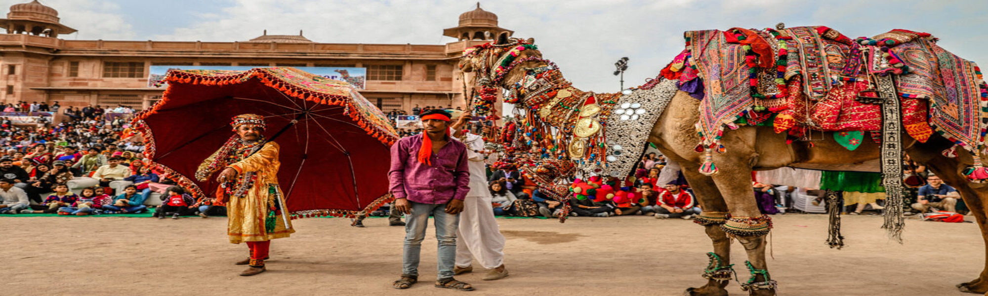 Camel Safari Tours in India with Mewar Festival Tours in India