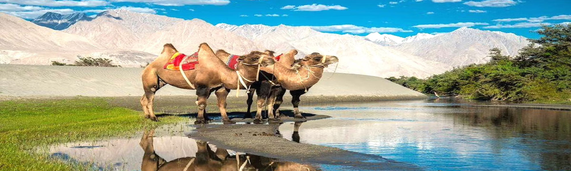 Jammu and Kashmir Tours in India with Camel Safari Tours in India