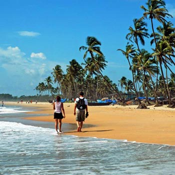 Fort and Palaces Tours in Rajasthan with Goa Tours in India