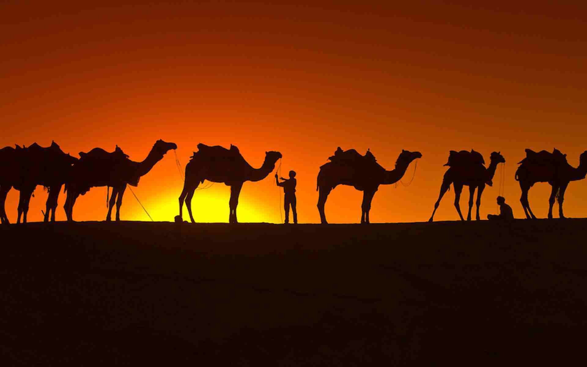 Mewar Festival Tours in Rajasthan with Desert Triangle Tours in Rajasthan