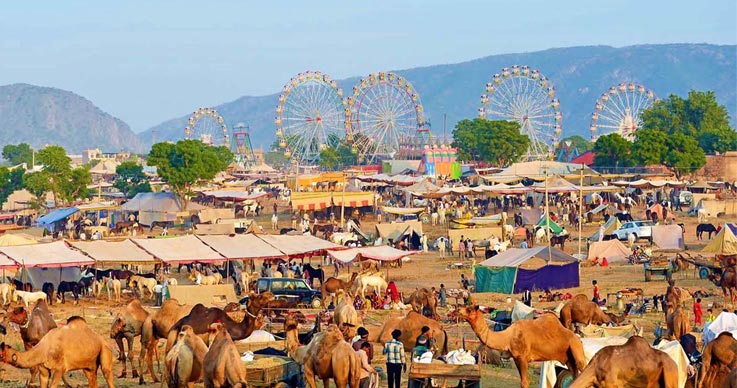 Wildlife Tours in Rajasthan with Pushkar Fair Tours in Rajasthan