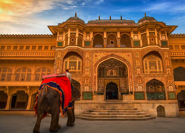 Wildlife Tours in Rajasthan with Pilgrimage Tours in Rajasthan